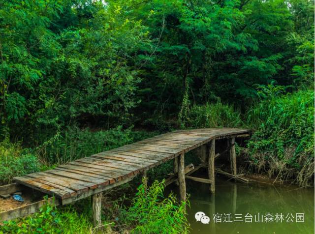 梦幻宿迁三台山森林公园