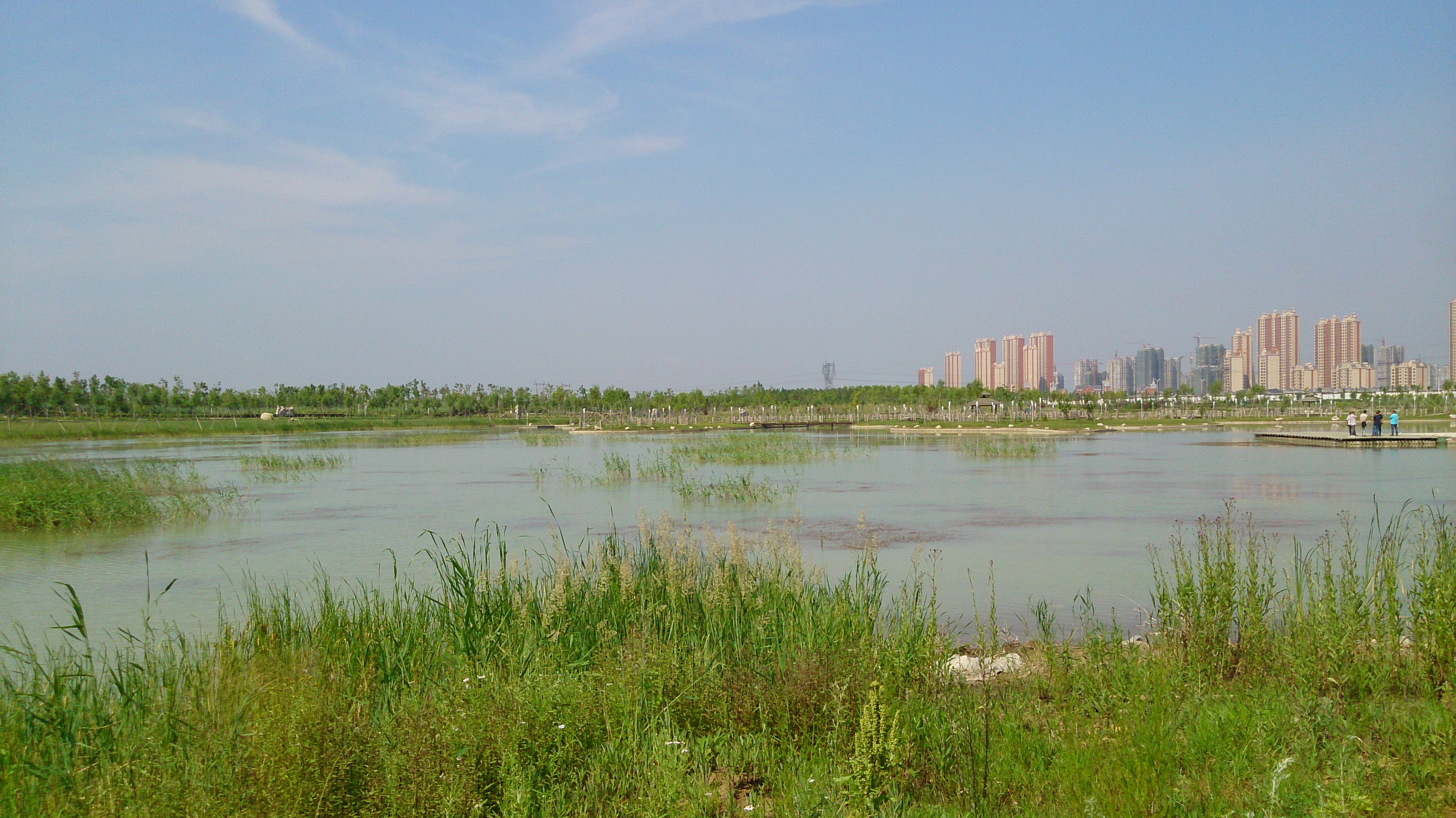 龙凤湿地