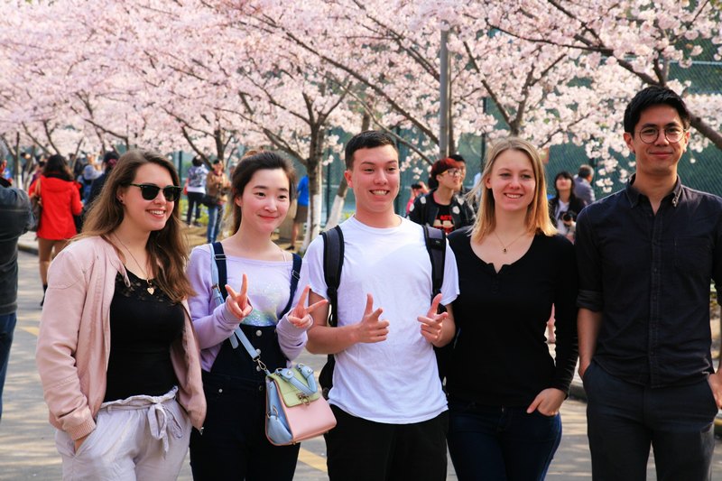 2015,同济大学赏樱花,不料还有很多美女帅哥