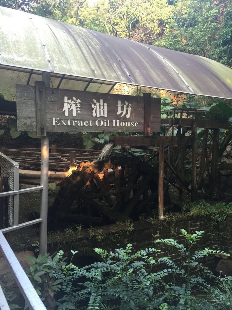 深圳青青世界