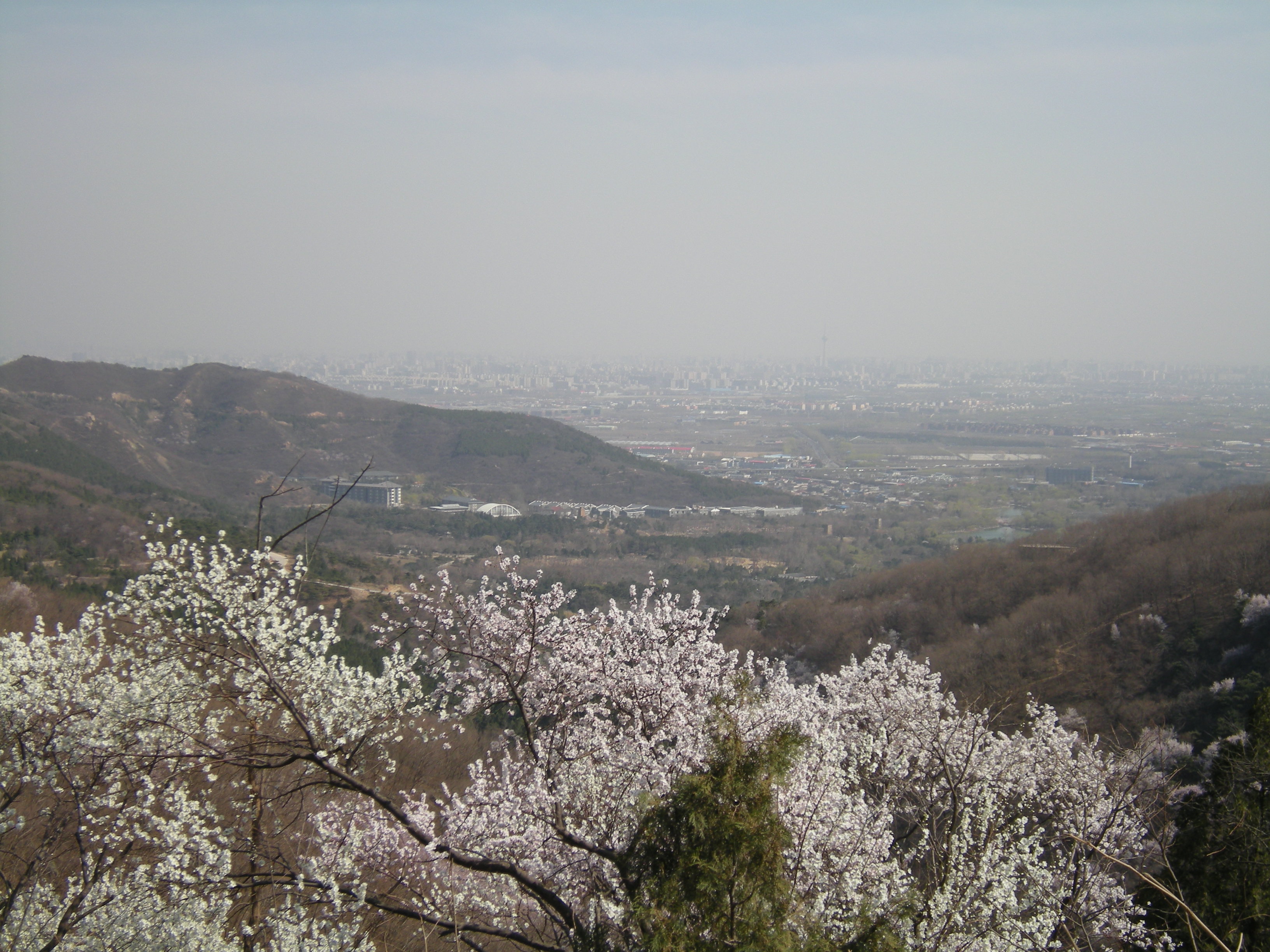 香山公园