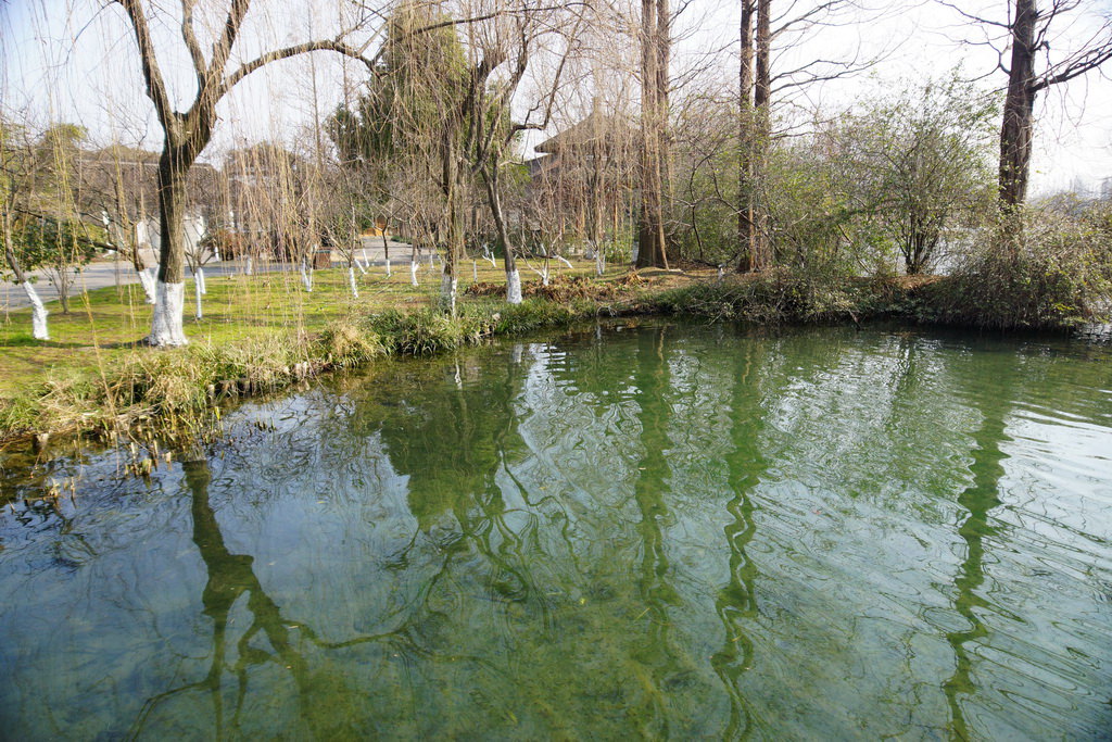 再游茅家埠(2)