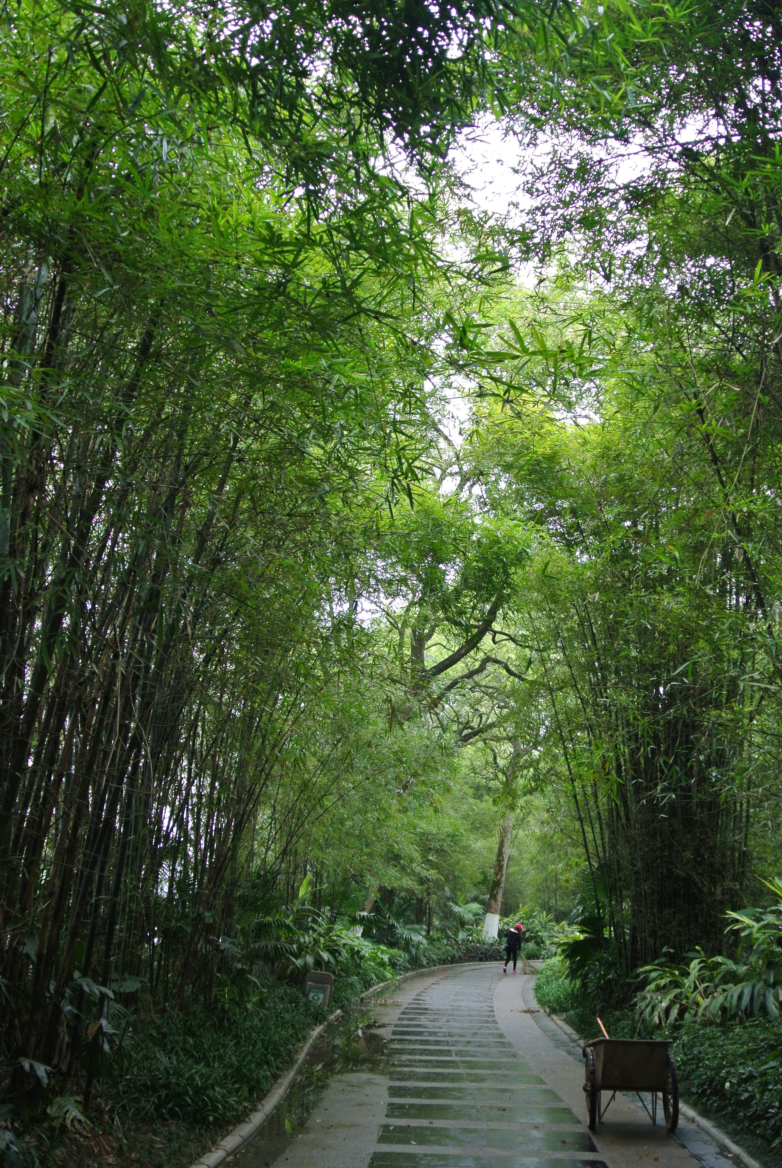 北海,桂林,厦门自由行