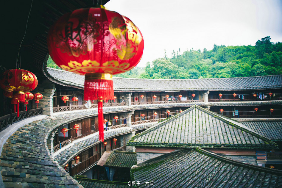 楼小学的学生我会给游客介绍哪些与众不同的习