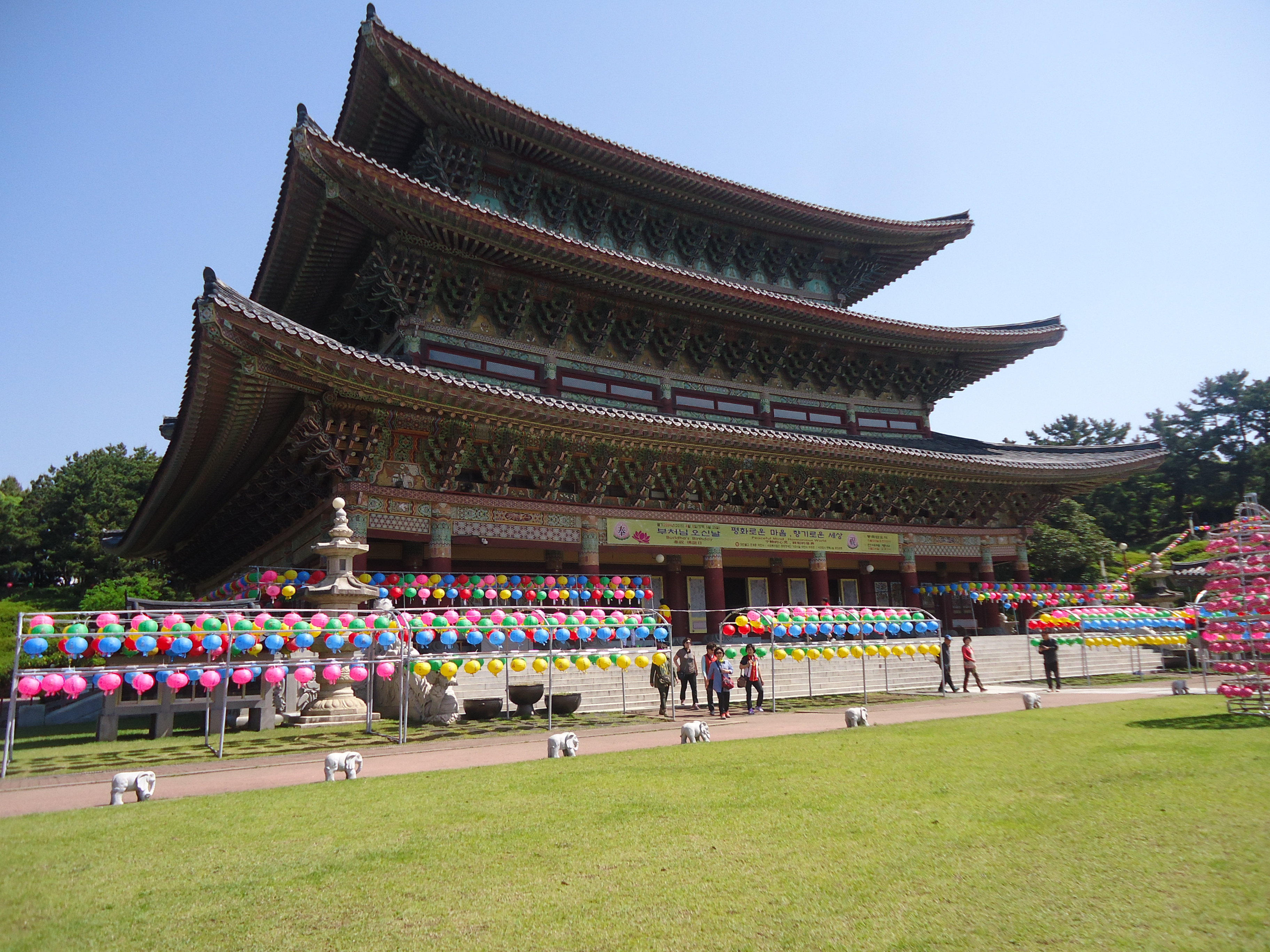 随手拍之济州药泉寺