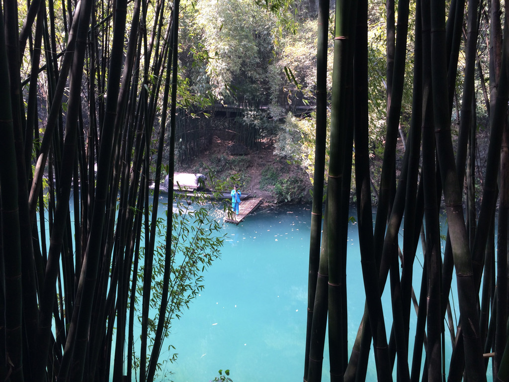 透过山边竹林,溪水清澈见底,充满诗情画意.