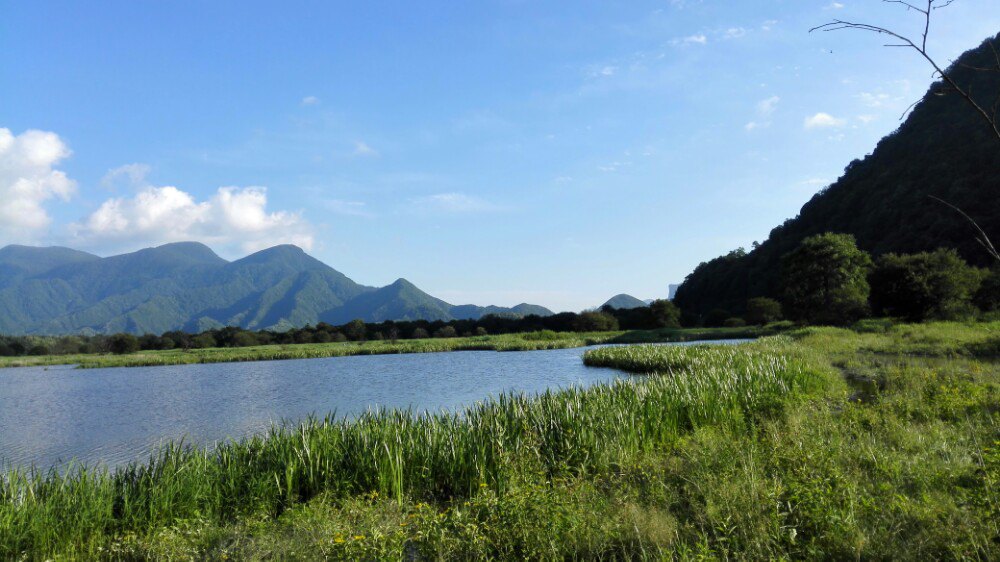 大九湖国家湿地公园