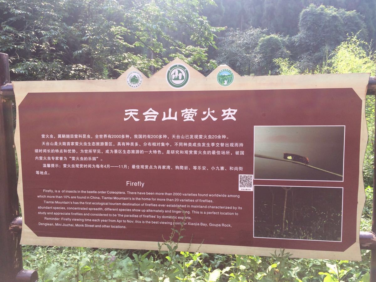 天台山旅游景点攻略图