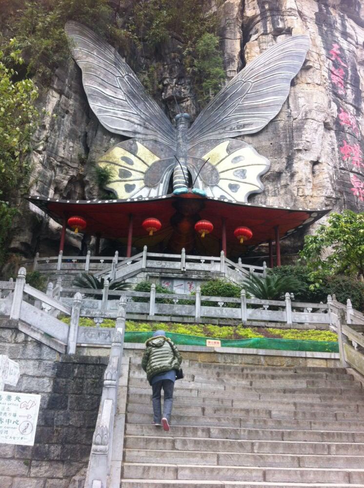 银子岩 大榕树 月亮山 蝴蝶泉 遇龙河竹筏一日游(阳朔-桂林单程交通)