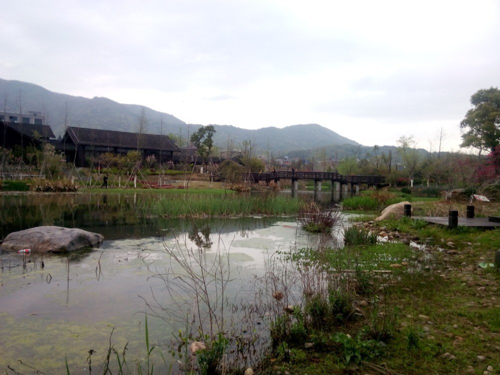 风情小镇皋城村