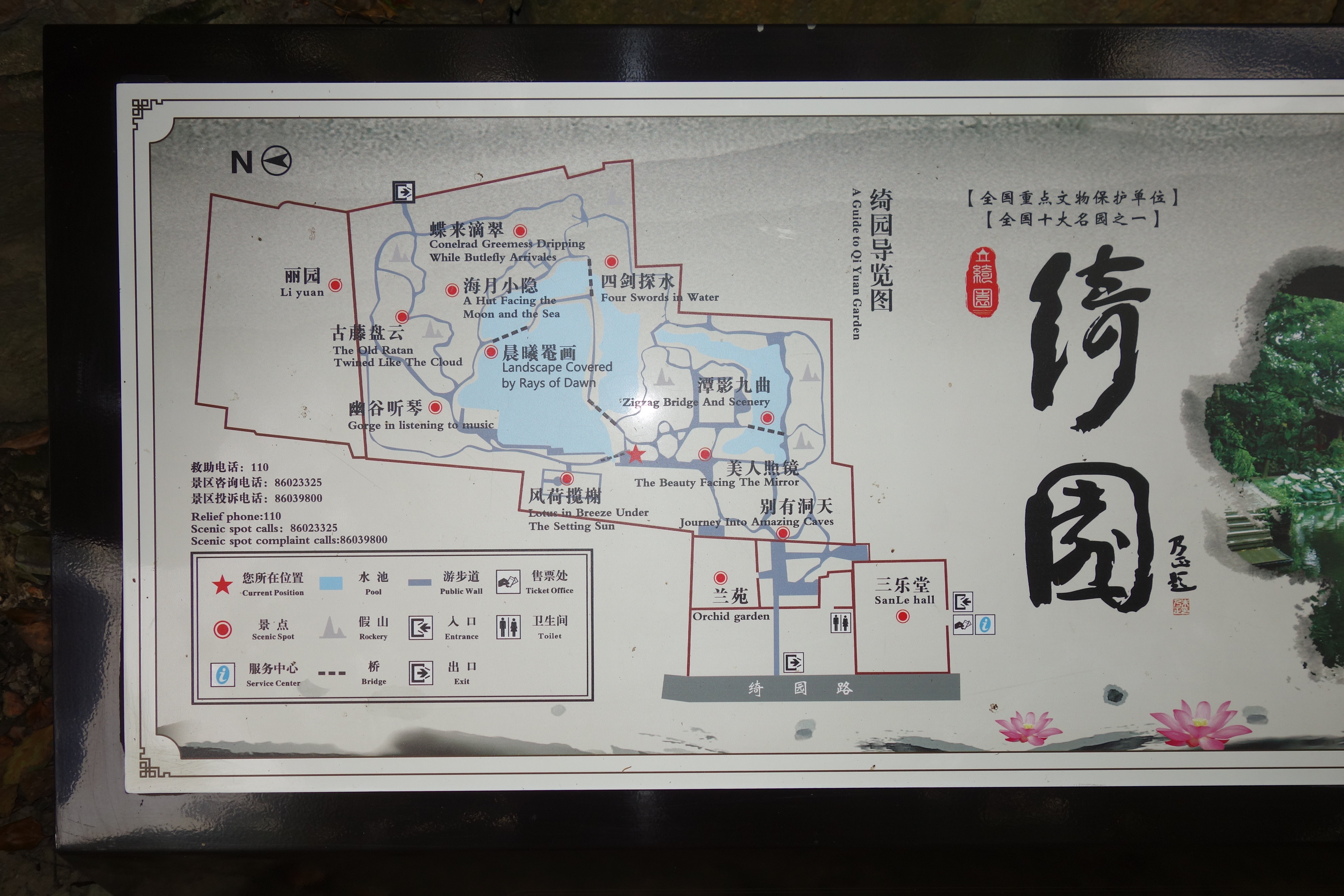 绮园惊艳