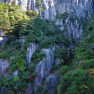 三清山二桥墩攻略,二桥墩门票/游玩攻略/地址/图片/门票价格【携程