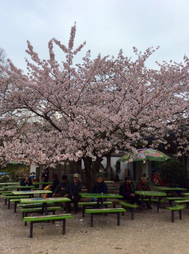 上海植物园