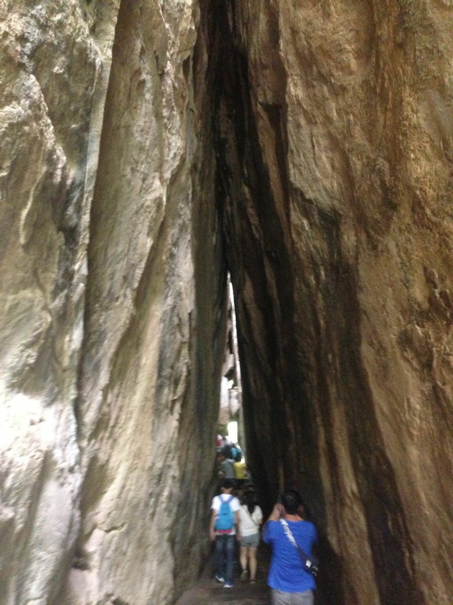 翠华山