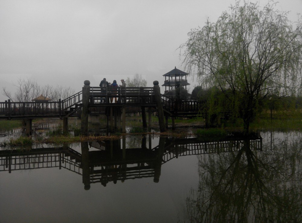 【携程攻略】浙江湖州德清德清下渚湖湿地公园好玩吗