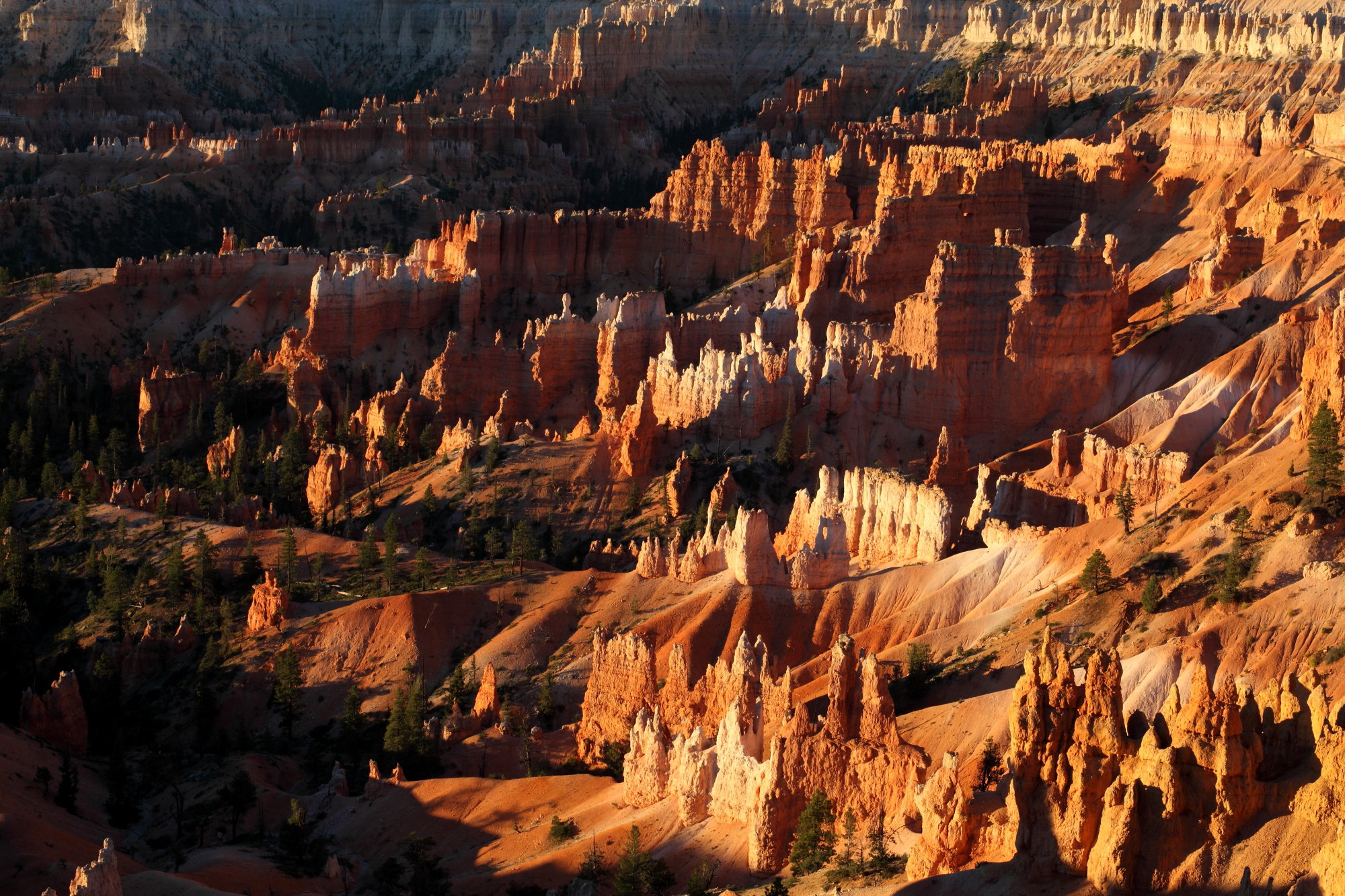 美国西海岸+洛杉矶+拉斯维加斯+黄石国家公园