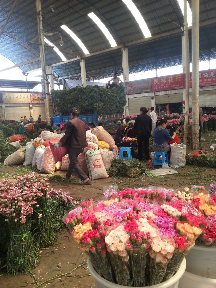 中国昆明斗南花卉市场