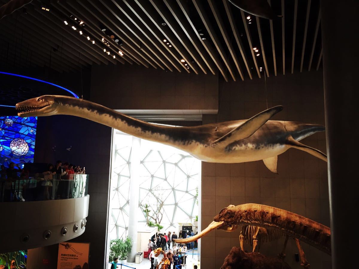 上海自然博物馆