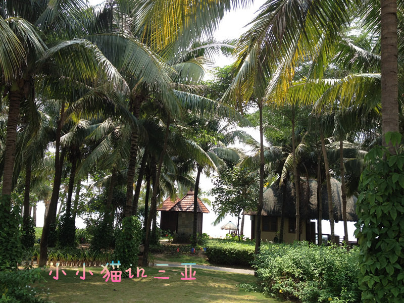  蜜月旅行></p></a>之拥抱阳光大海沙滩椰林的三亚自由行(入住