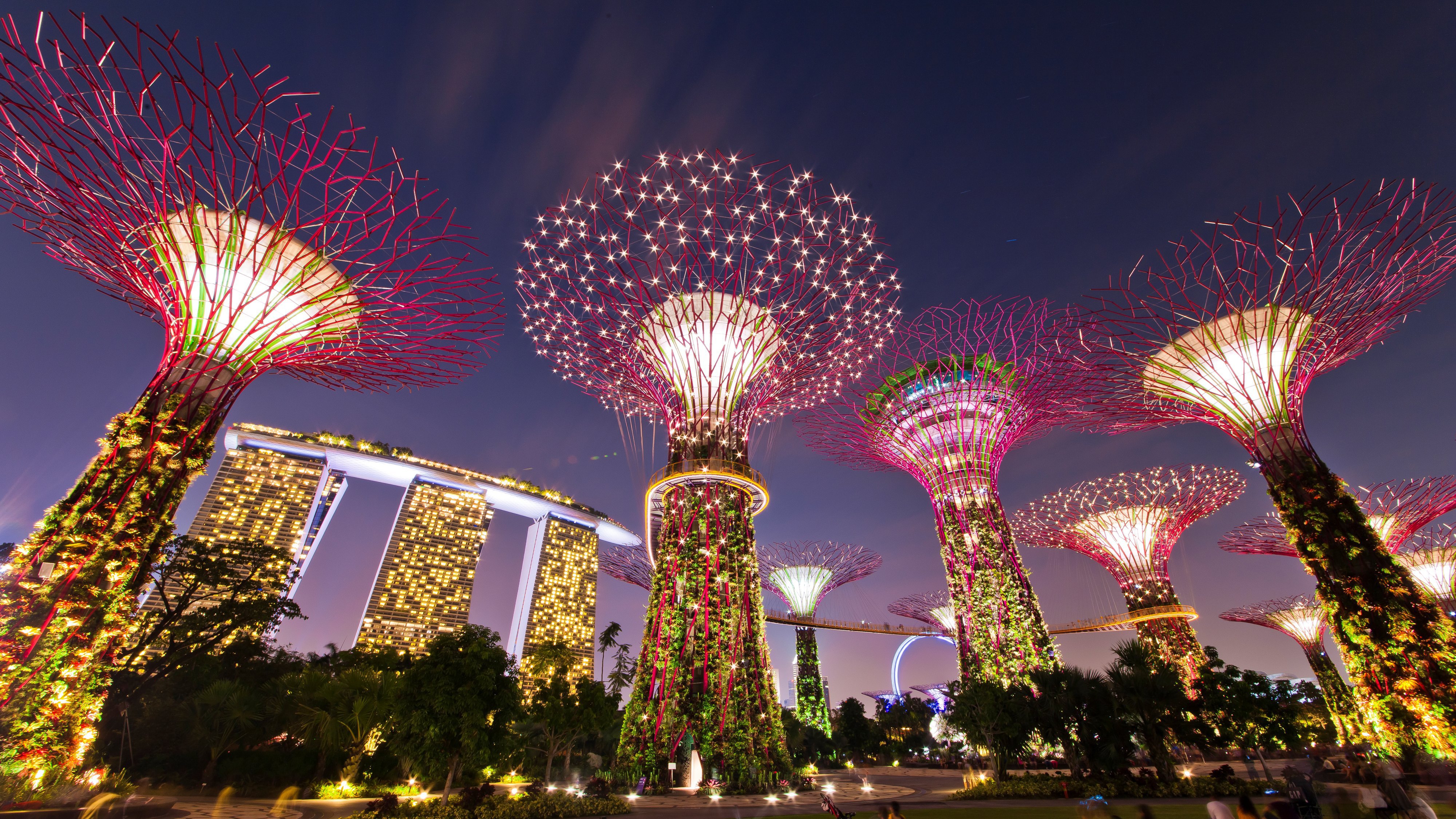 新加坡+马来西亚5日跟团游(3钻)·一字起+猫