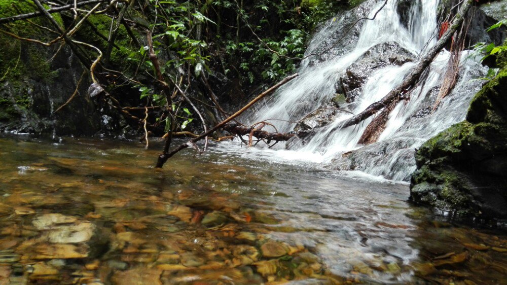 【携程攻略】千岛湖千岛湖森林氧吧适合家庭亲子旅游