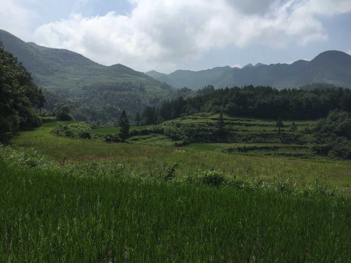 【携程攻略】贵州遵义正安天楼山好玩吗,贵州天楼山景点怎麼样_点评