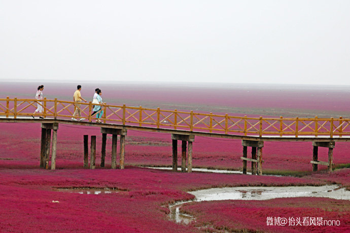 盘锦红海滩风景区