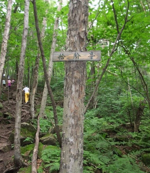 冬日坐火车去伊春铁力,体验日月峡登山和依吉密河漂流