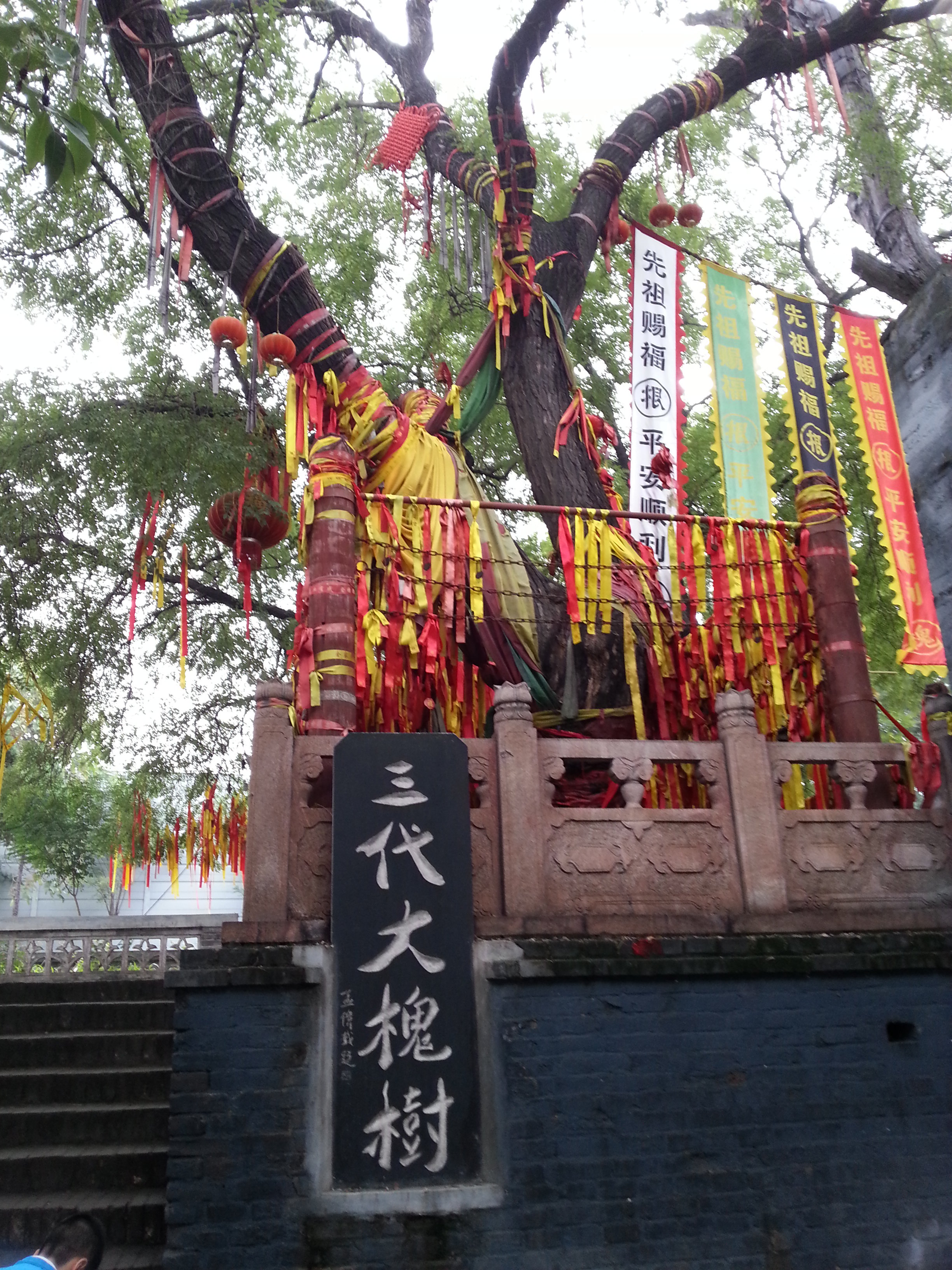 洪洞大槐树寻根祭祖园