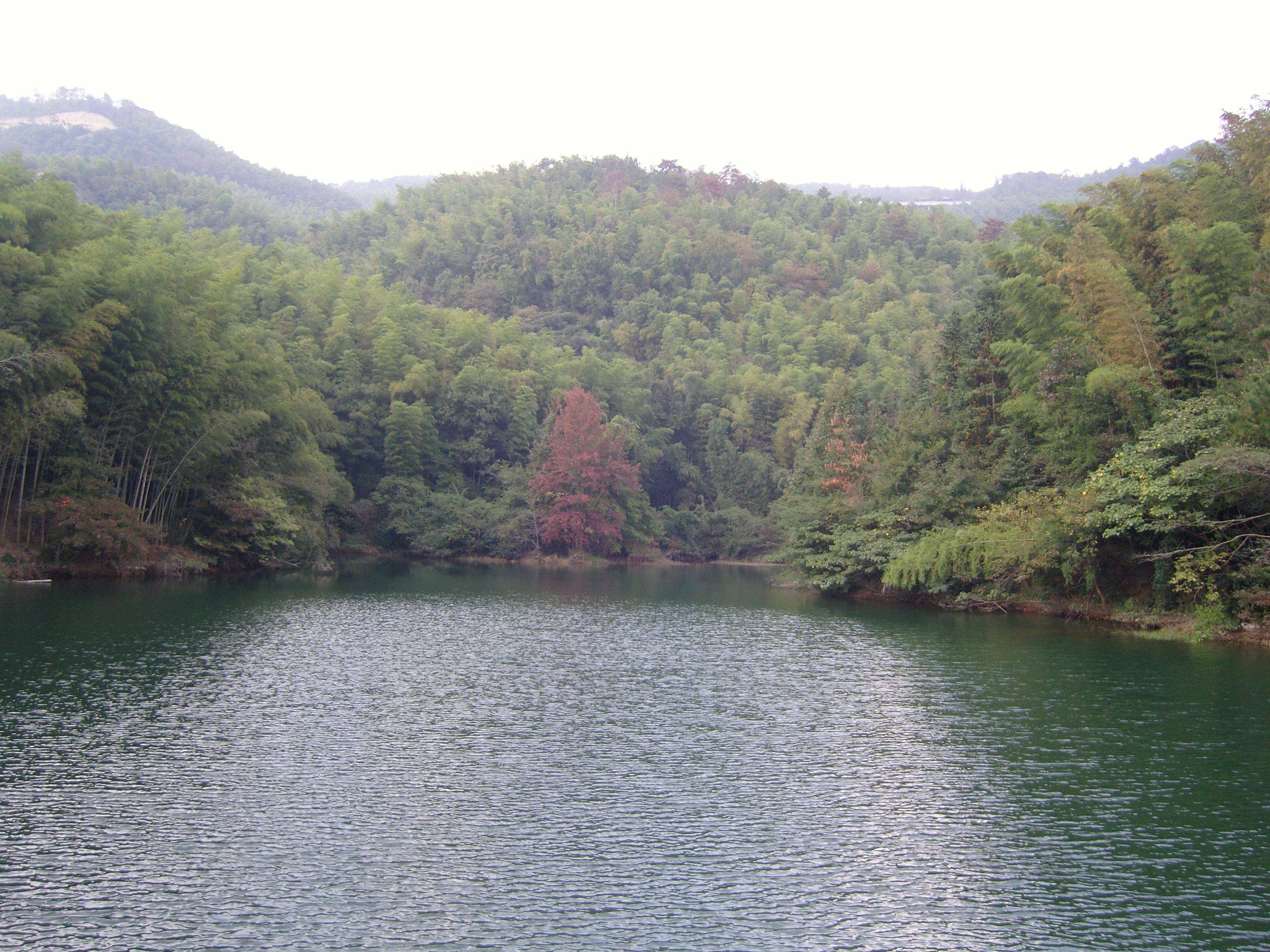 镇海区九龙湖景区好玩吗,镇海区九龙湖景区景点怎么样