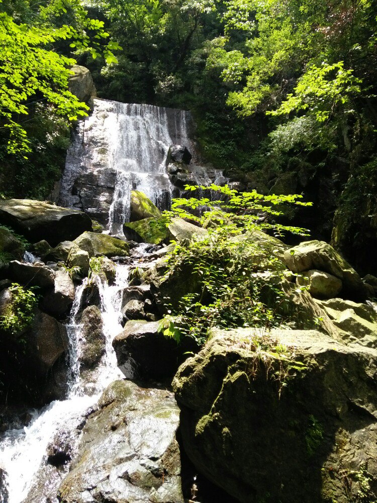 2019藏龙百瀑_旅游攻略_门票_地址_游记点评,安吉旅游景点推荐 - 去