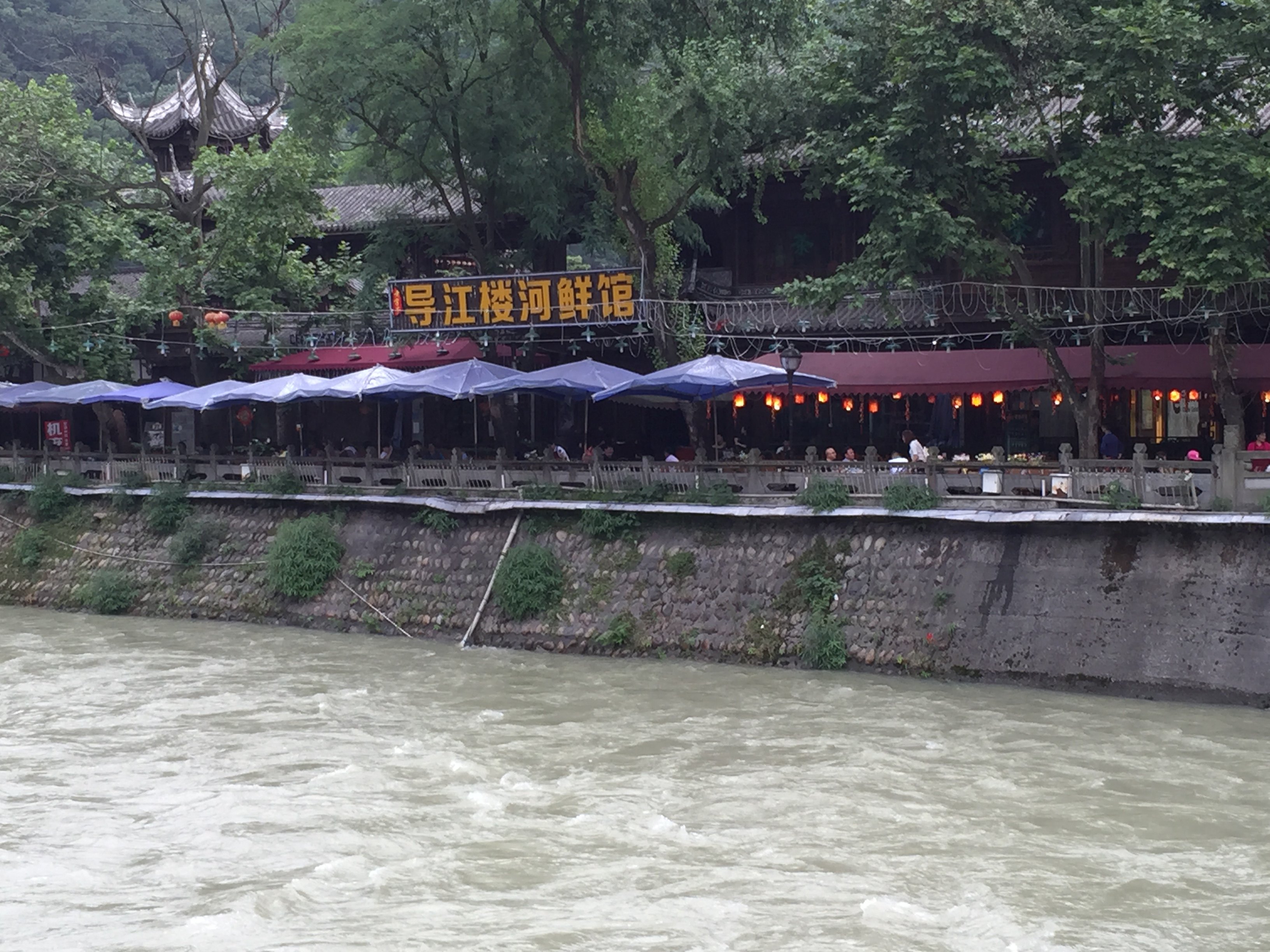 2019南桥_旅游攻略_门票_地址_游记点评,都江堰旅游
