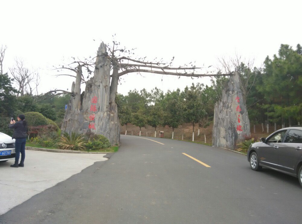 出游                                              最好自驾游哦
