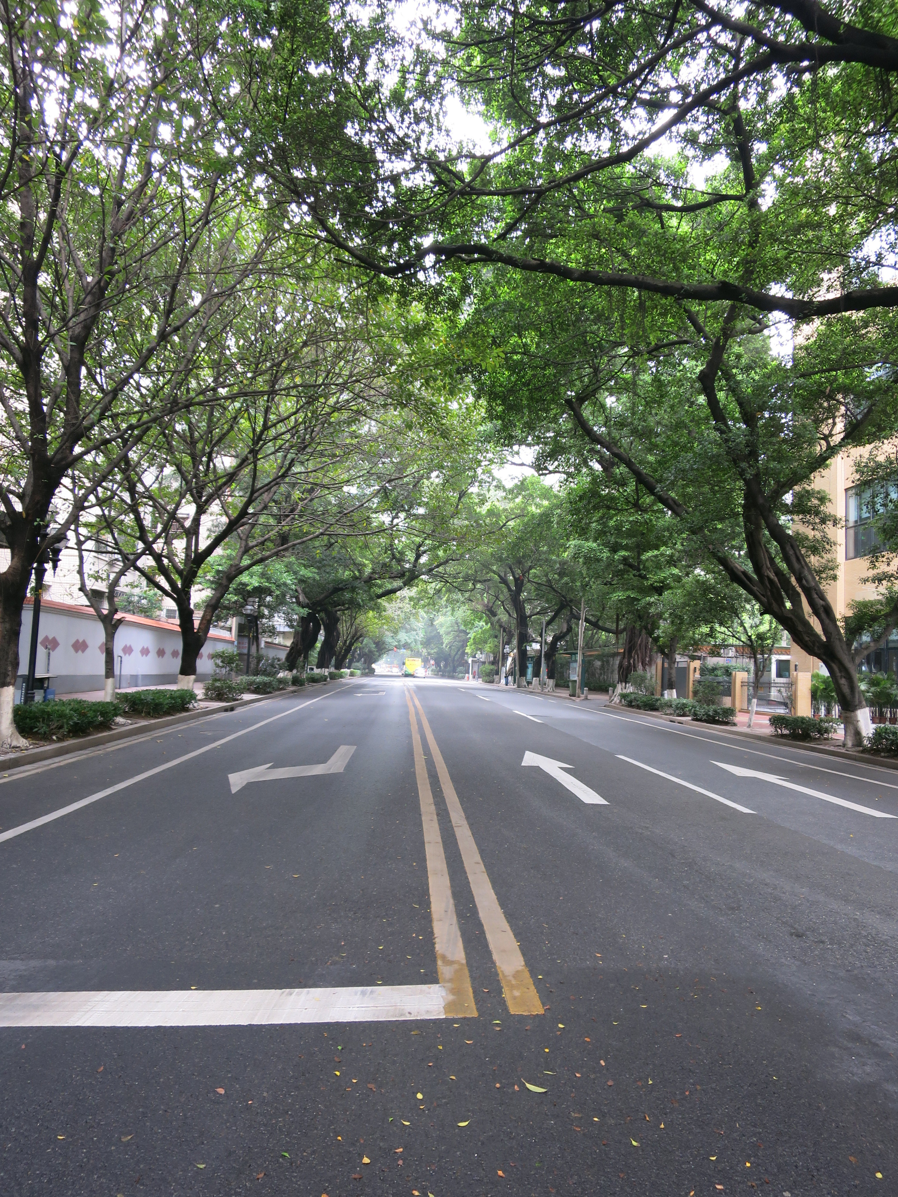 东风中路街景                          