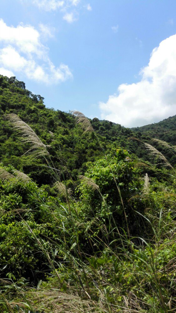 马峦山