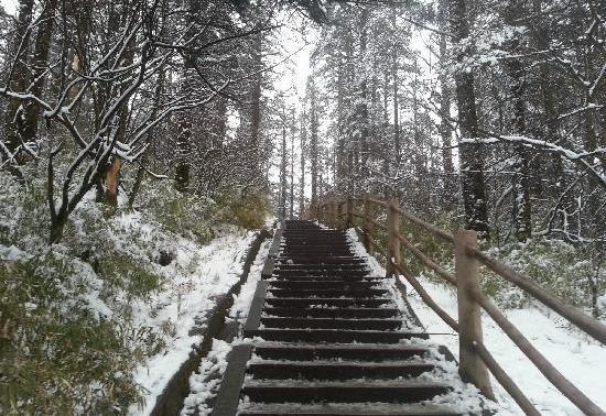 大坪霁雪