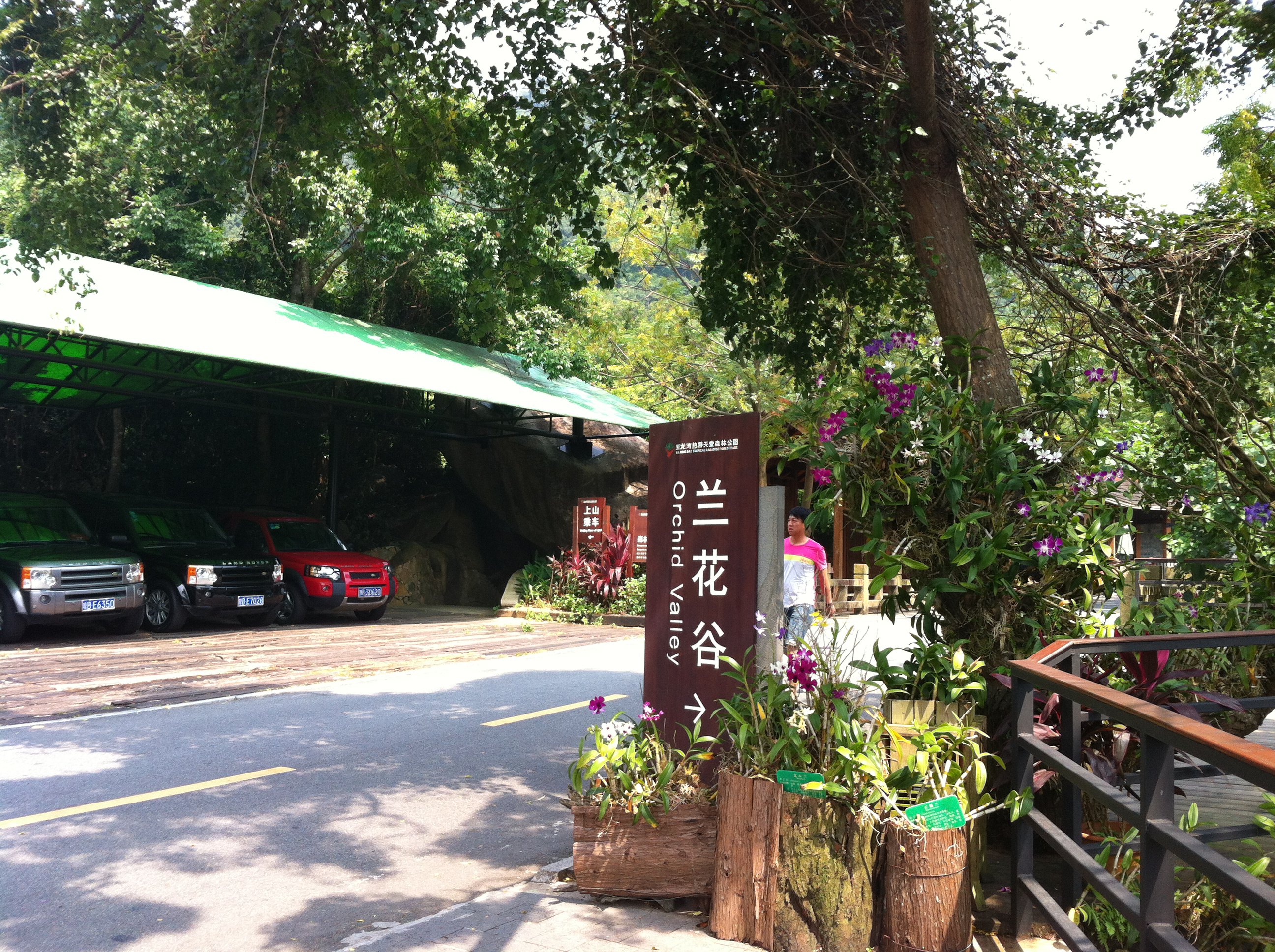 亚龙湾热带天堂森林公园,第一站兰花谷,就是一个原生态公园,比较潮湿