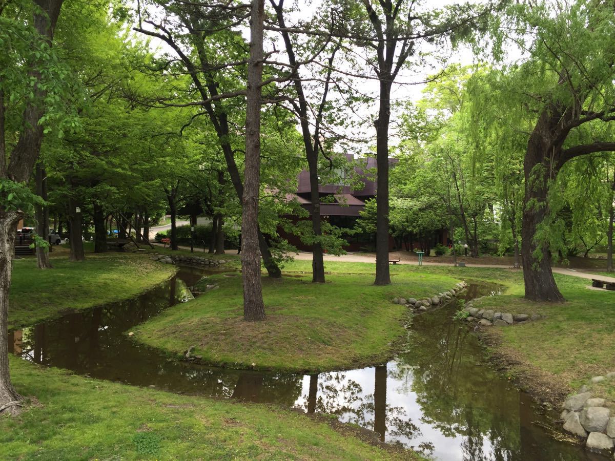 北海道大学