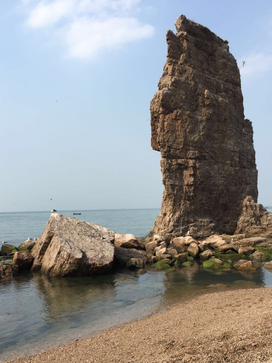 【携程攻略】荣成海驴岛适合商务旅行旅游吗,海驴岛商务旅行景点推荐