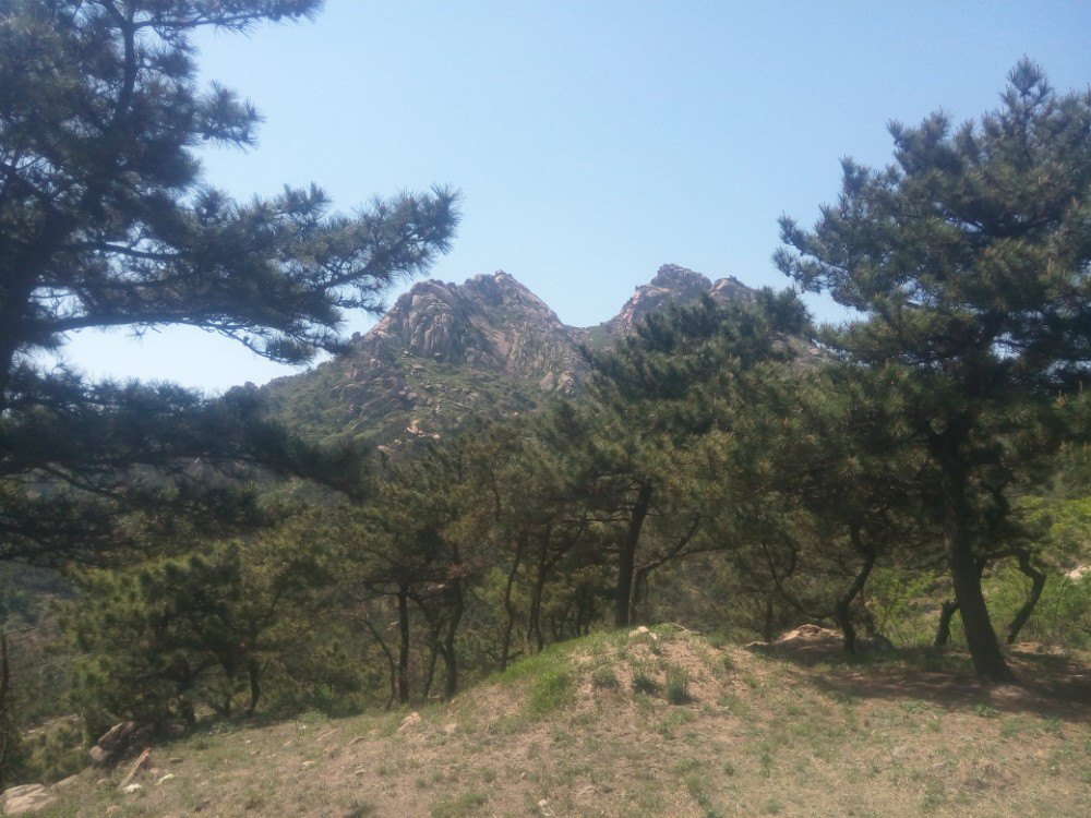 浮山森林公园
