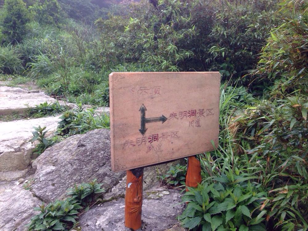 5.1自虐走起:亲子惠州罗浮山攀登飞云顶(深圳出发)