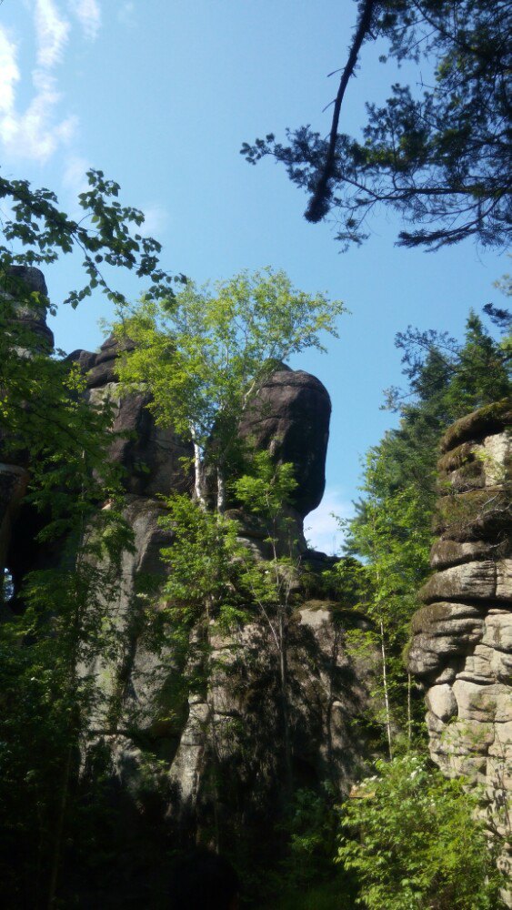 汤旺河石林风景区(汤旺河国家公园)