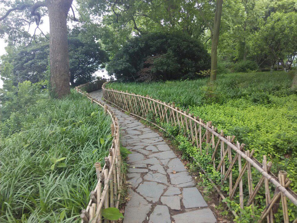                  湖边小路