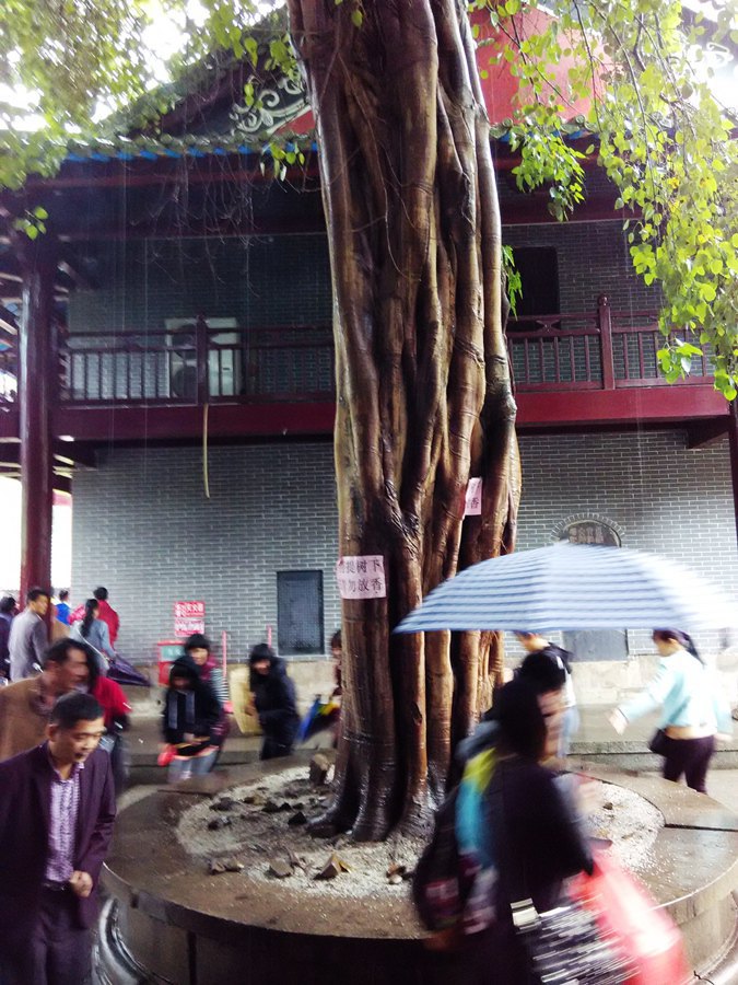 大雨挡不住游千年古刹南华寺的兴致--独行广东(7)