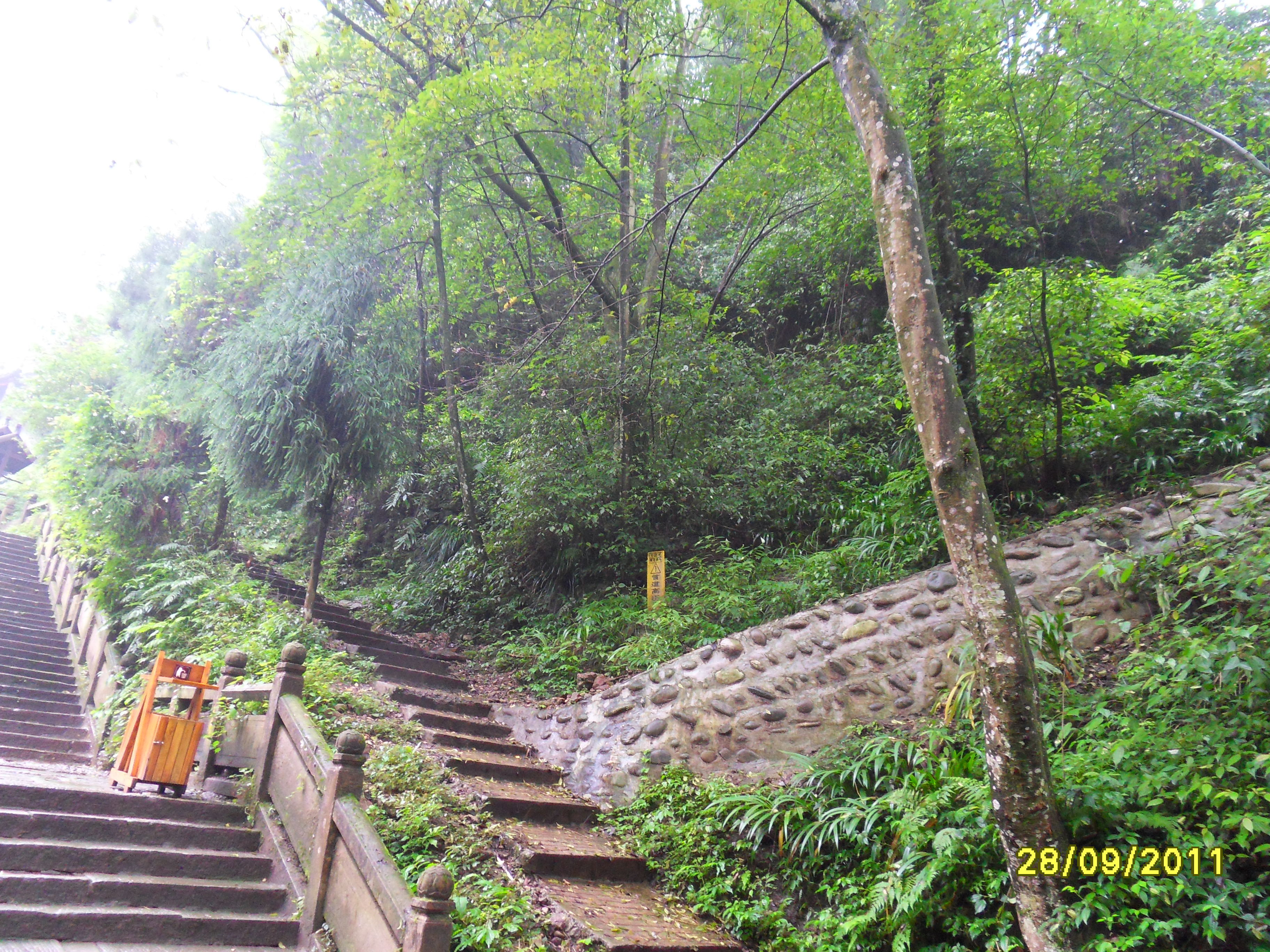 中秋节想去青城山玩两天,要在山上露营,可是没