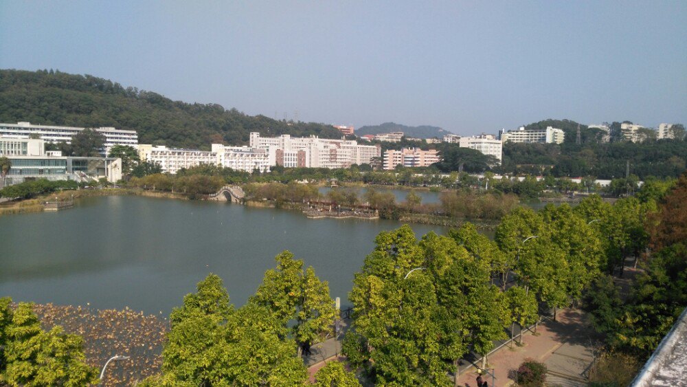 【携程攻略】福建福建农林大学景点,挺不错的,照片是冬天的农大景色