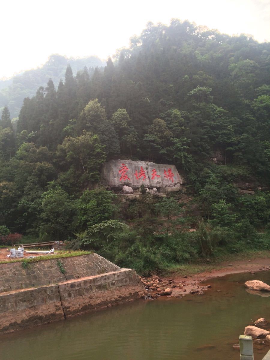 爱情天梯