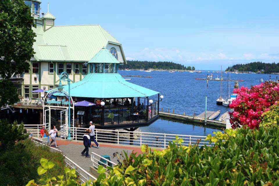 纳奈莫nanaimo