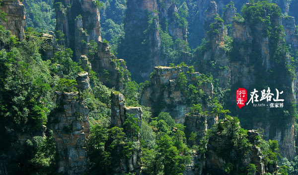 探索之心--张家界国家森林公园行走攻略 - 武陵