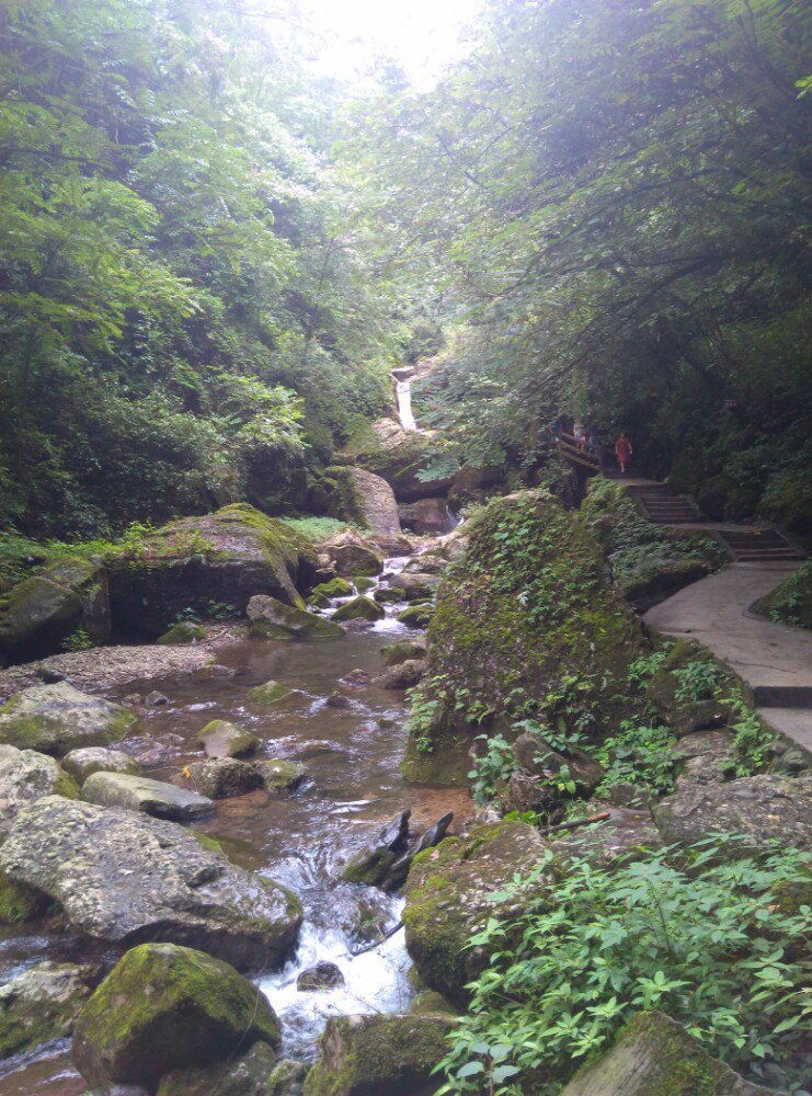 青城后山旅游景点攻略图